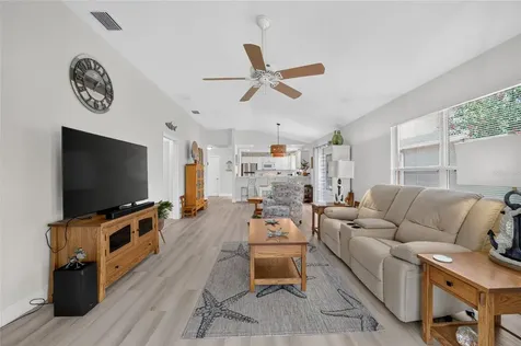308 Almeria Street The Villages FL 32162