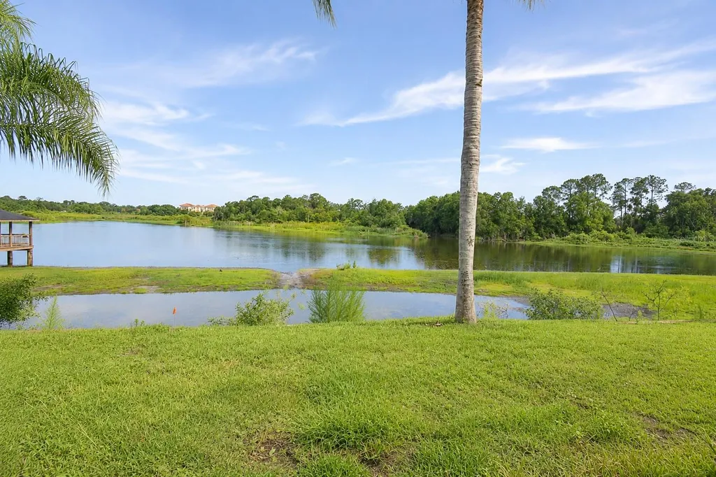 2229 Foggy Ridge Parkway Land O Lakes FL 34639