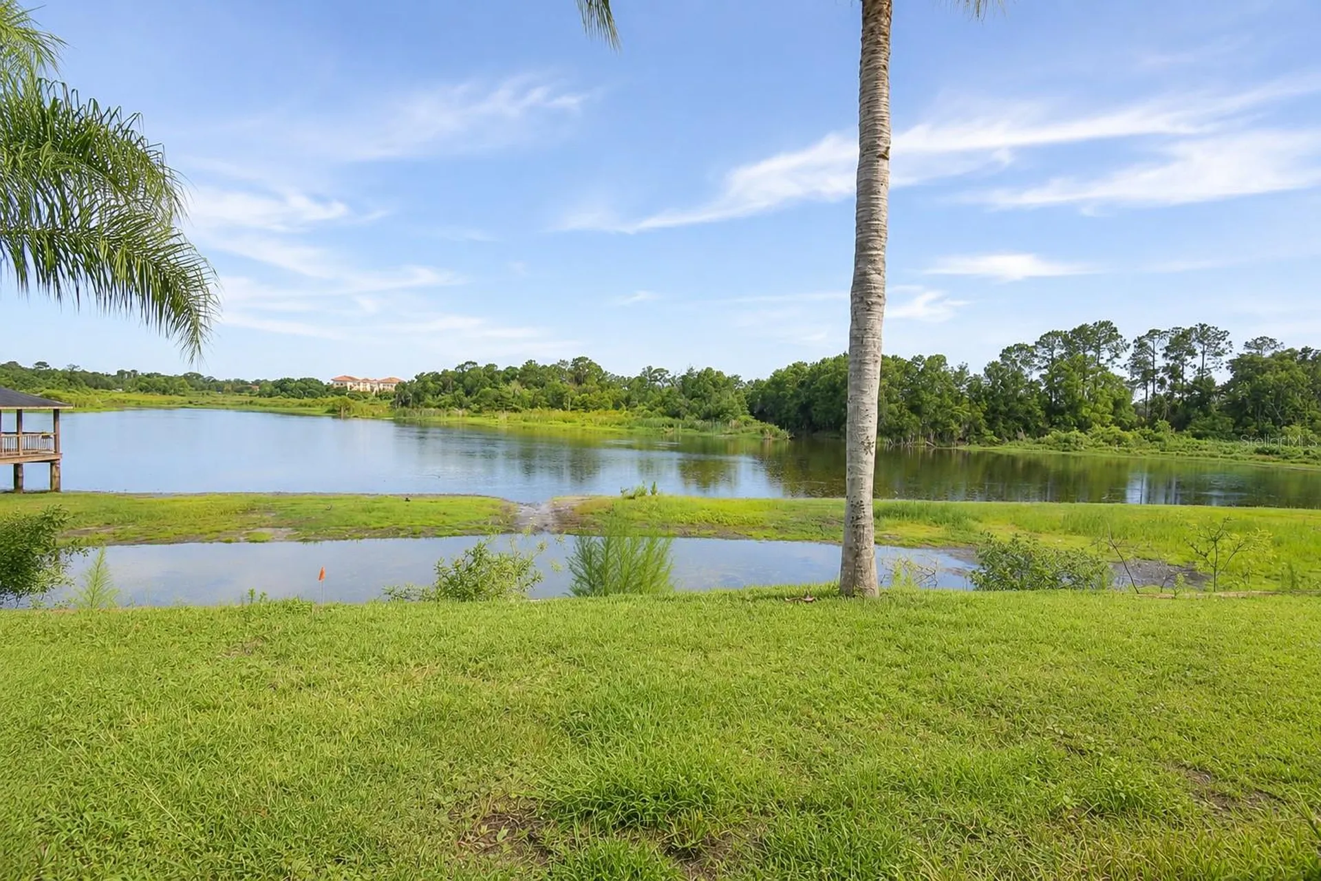 2229 Foggy Ridge Parkway Land O Lakes FL 34639