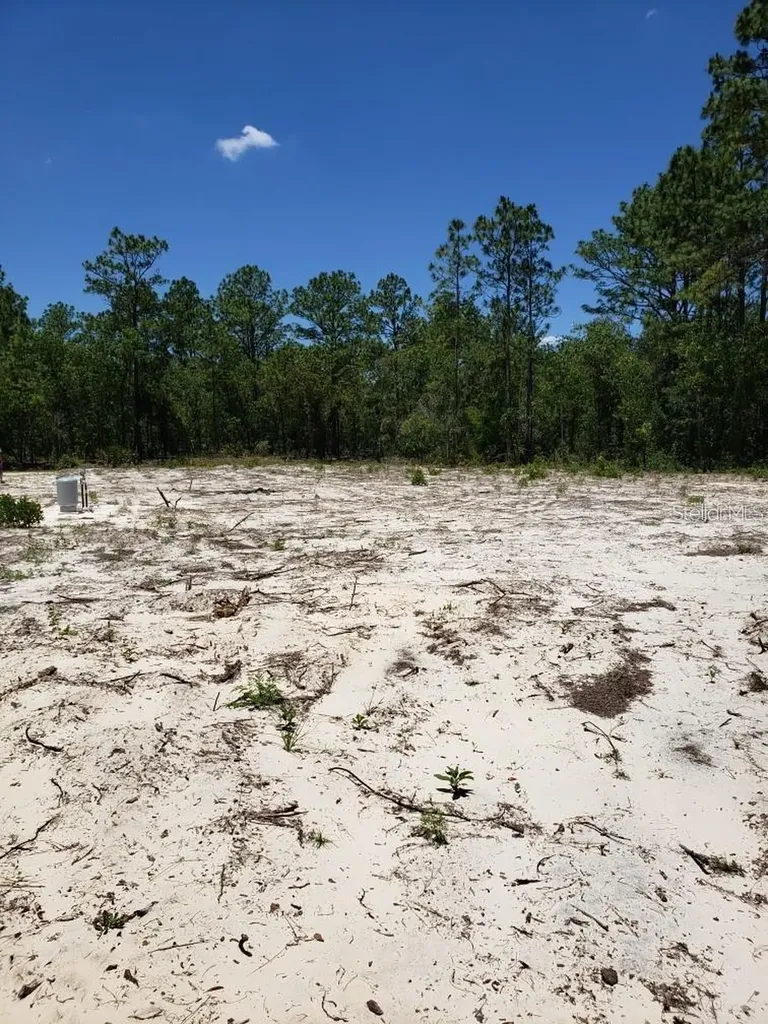 7705 SW 135th Terrace Road Dunnellon FL 34432