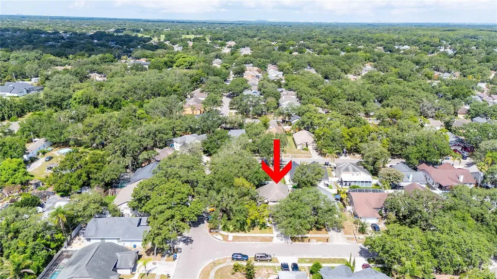 4139 Moreland Drive Valrico FL 33596