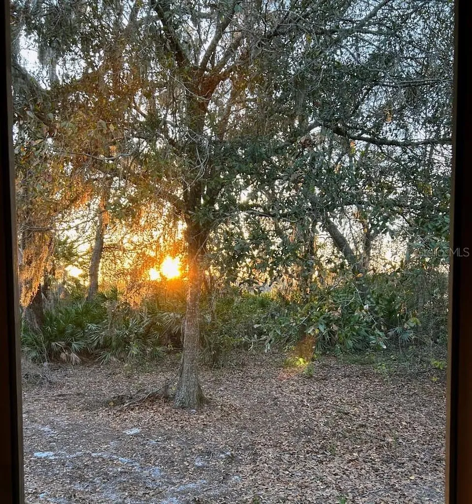 14635 Dupree Road Wimauma FL 33598