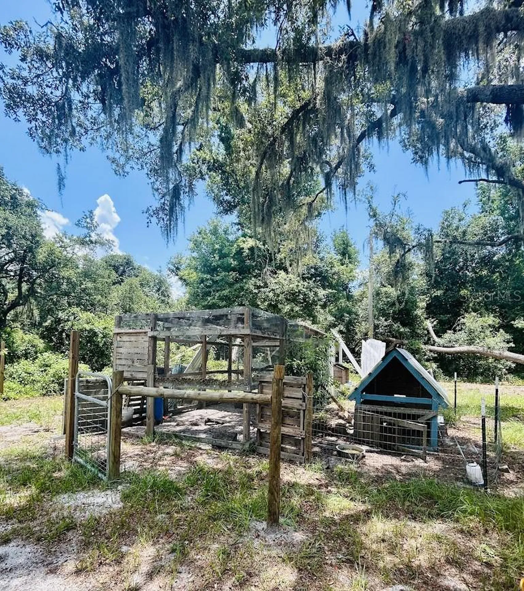 14635 Dupree Road Wimauma FL 33598