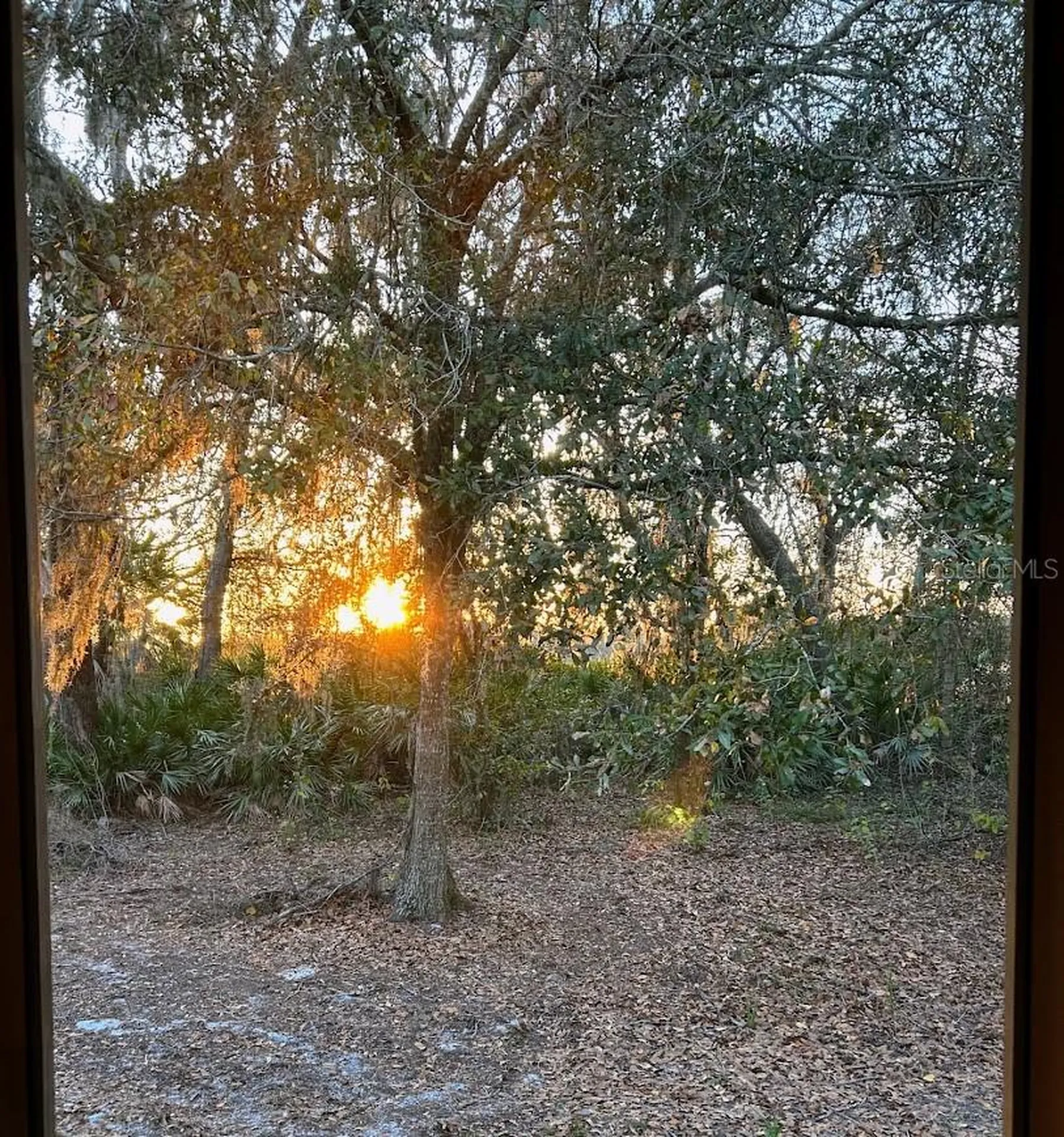 14635 Dupree Road Wimauma FL 33598