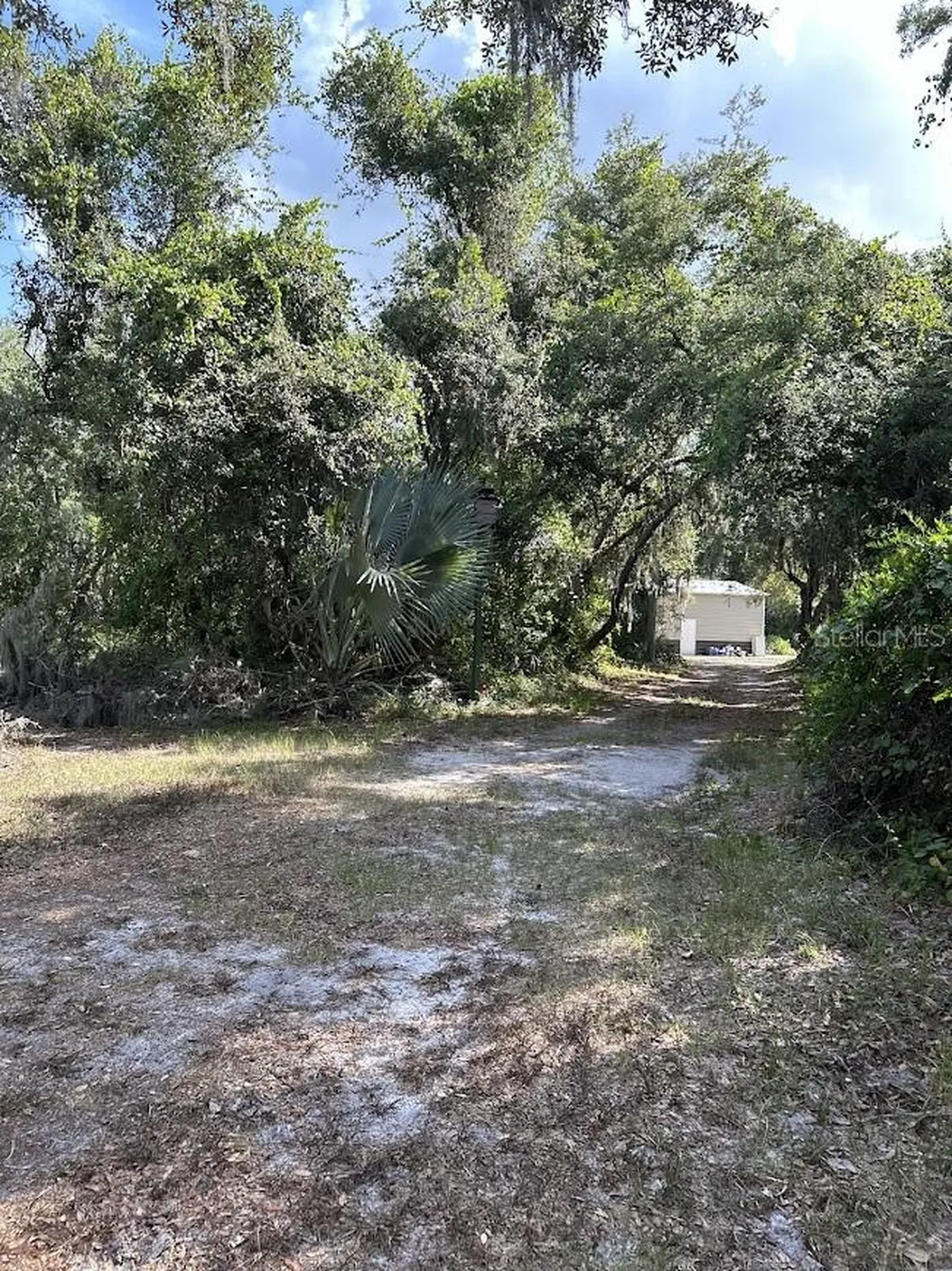 14635 Dupree Road Wimauma FL 33598