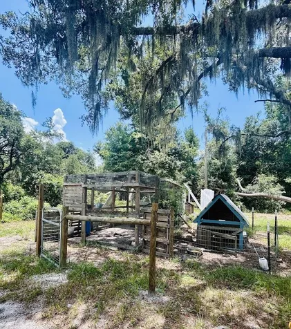 14635 Dupree Road Wimauma FL 33598