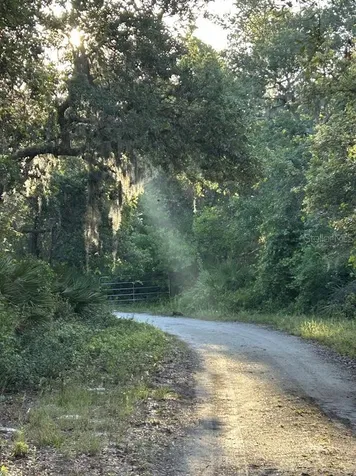 14635 Dupree Road Wimauma FL 33598