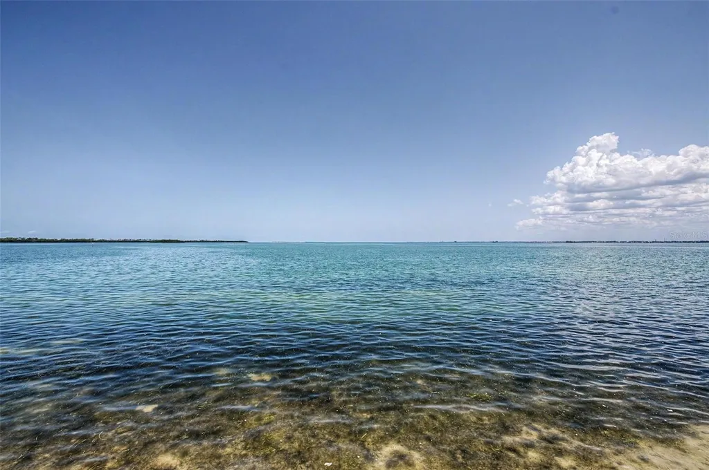 9 Haig Place Dunedin FL 34698
