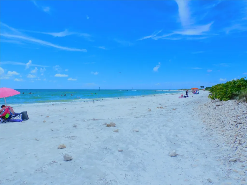 9 Haig Place Dunedin FL 34698