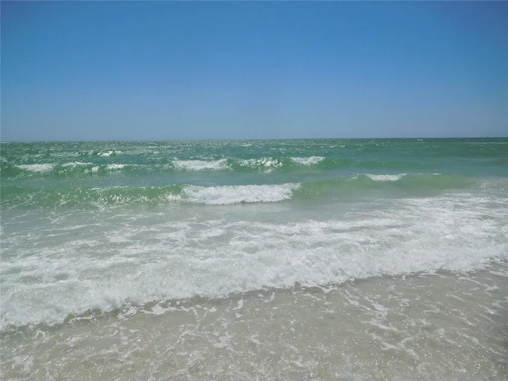 9 Haig Place Dunedin FL 34698