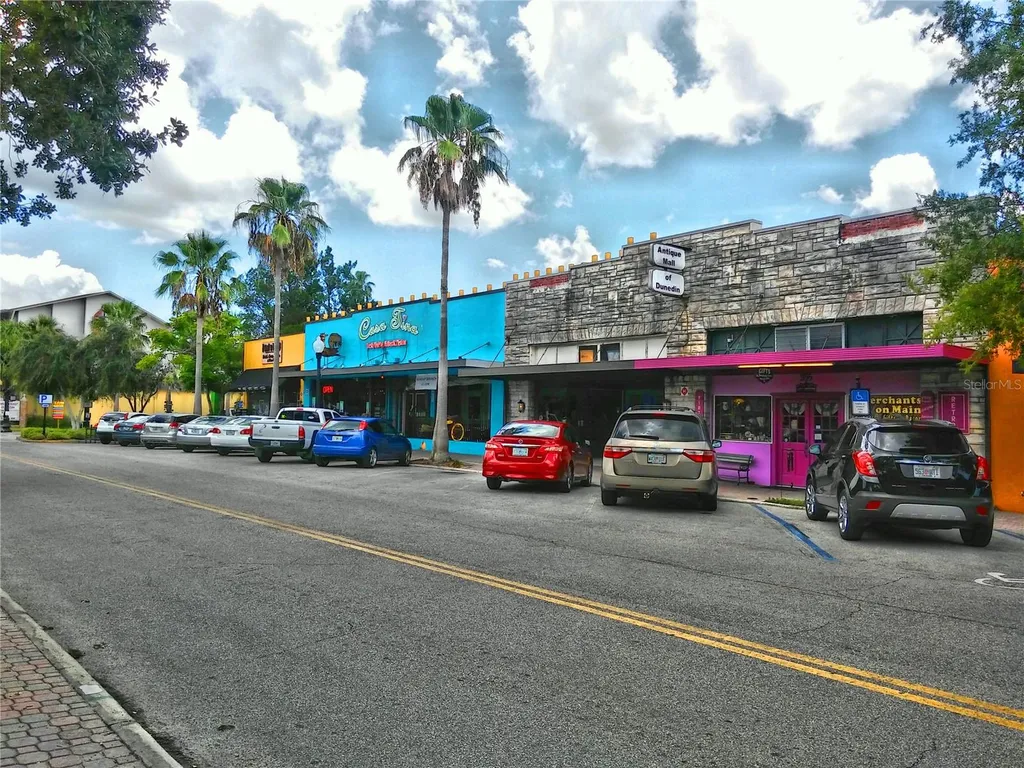 9 Haig Place Dunedin FL 34698
