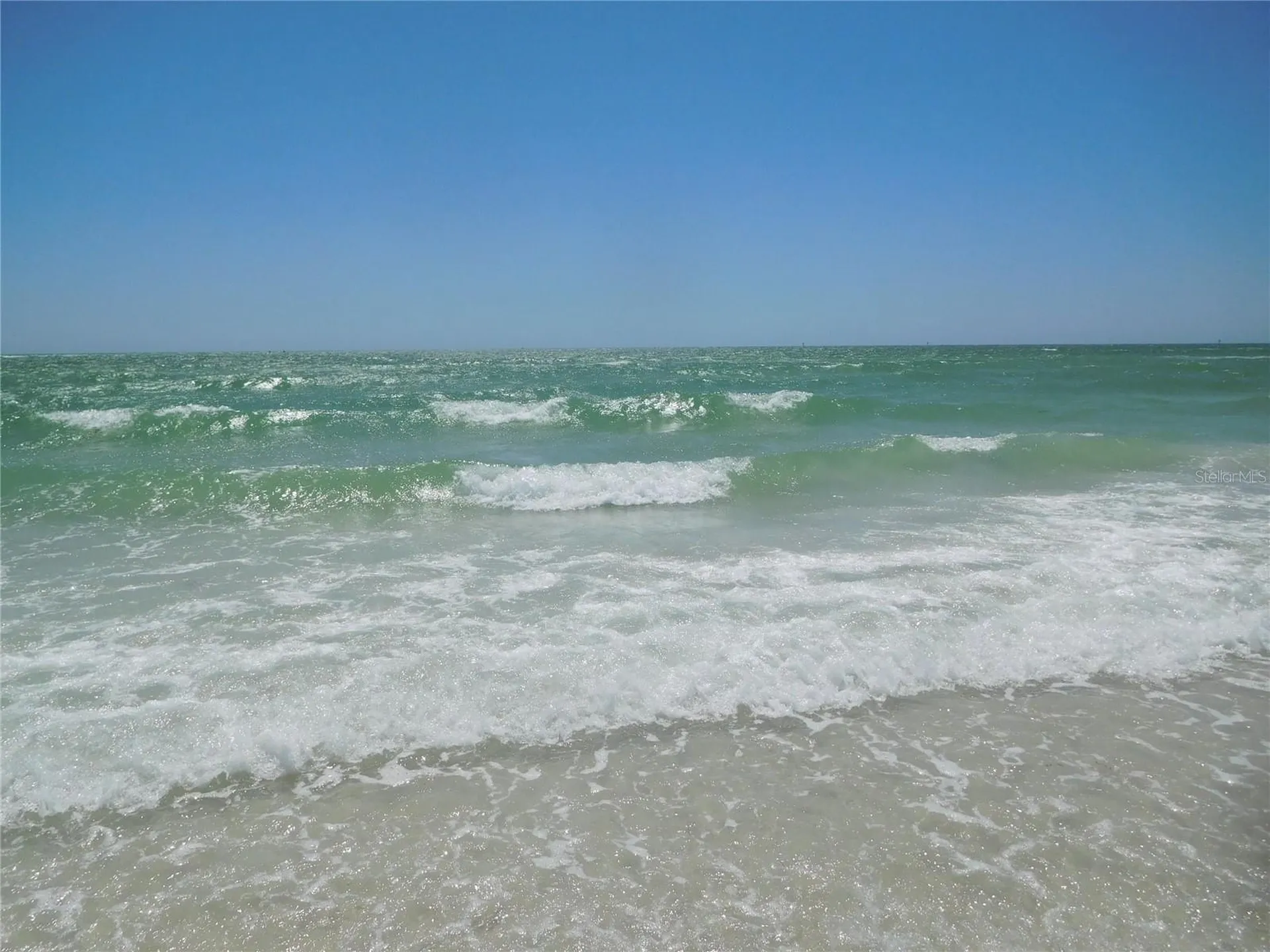 9 Haig Place Dunedin FL 34698