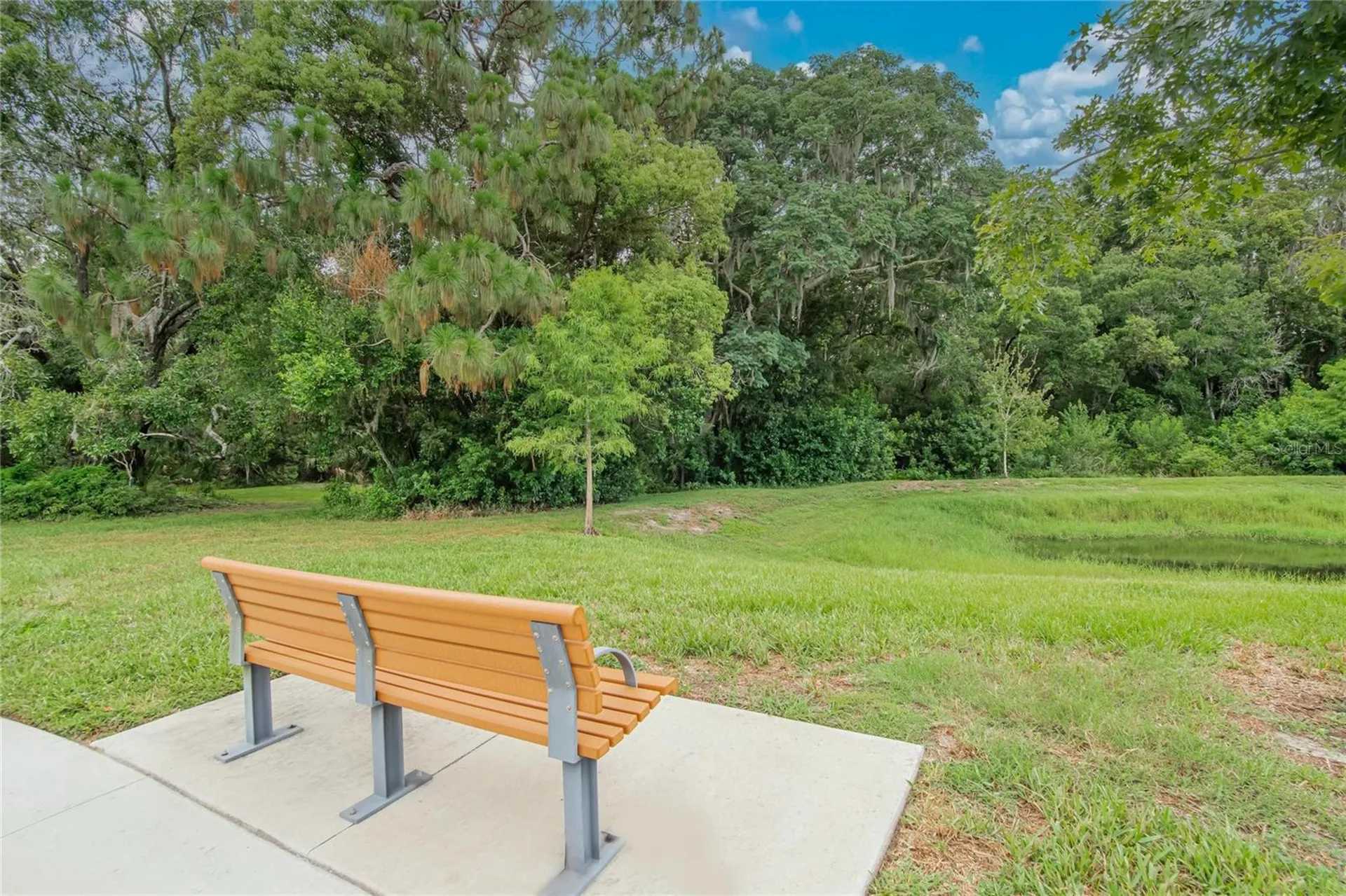 2597 Charlan Holiday FL 34690