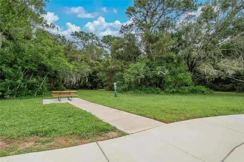 2597 Charlan Holiday FL 34690