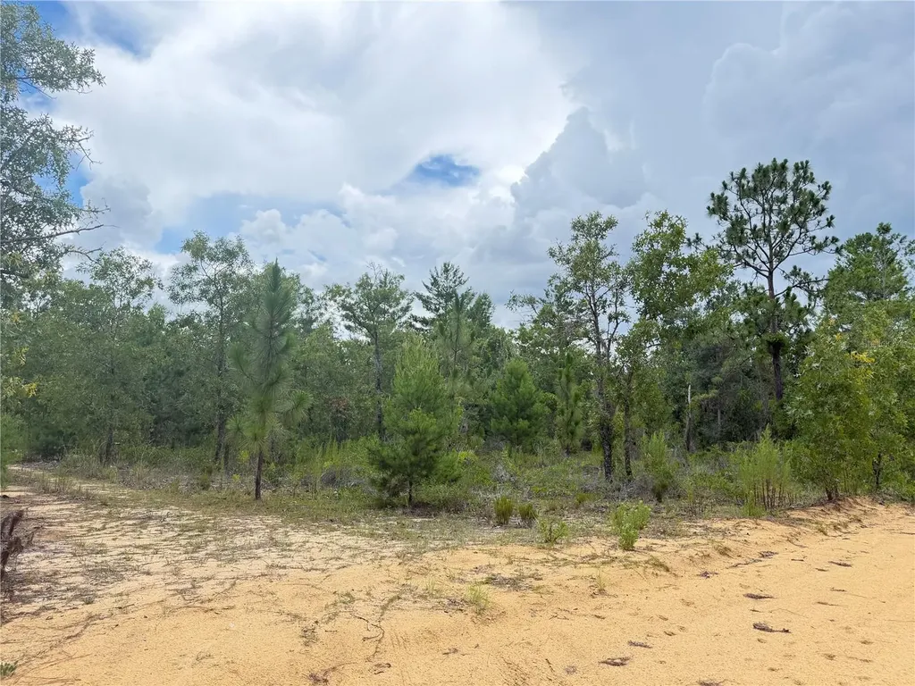 100 Linda Lane Interlachen FL 32148