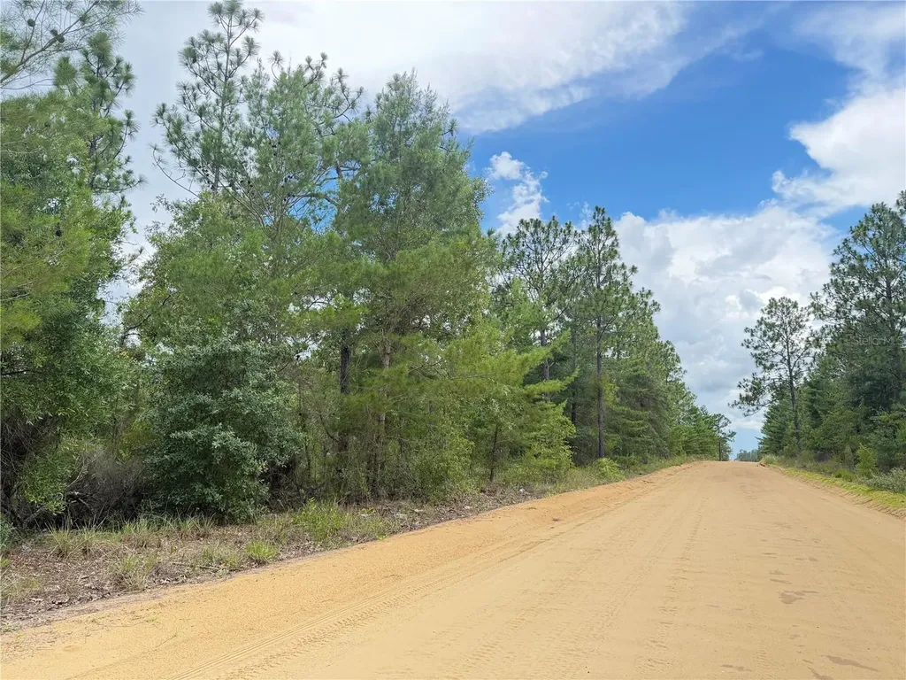 100 Linda Lane Interlachen FL 32148