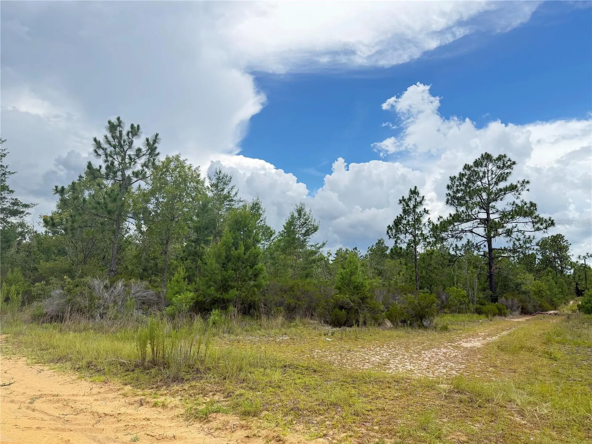 100 Linda Lane Interlachen FL 32148