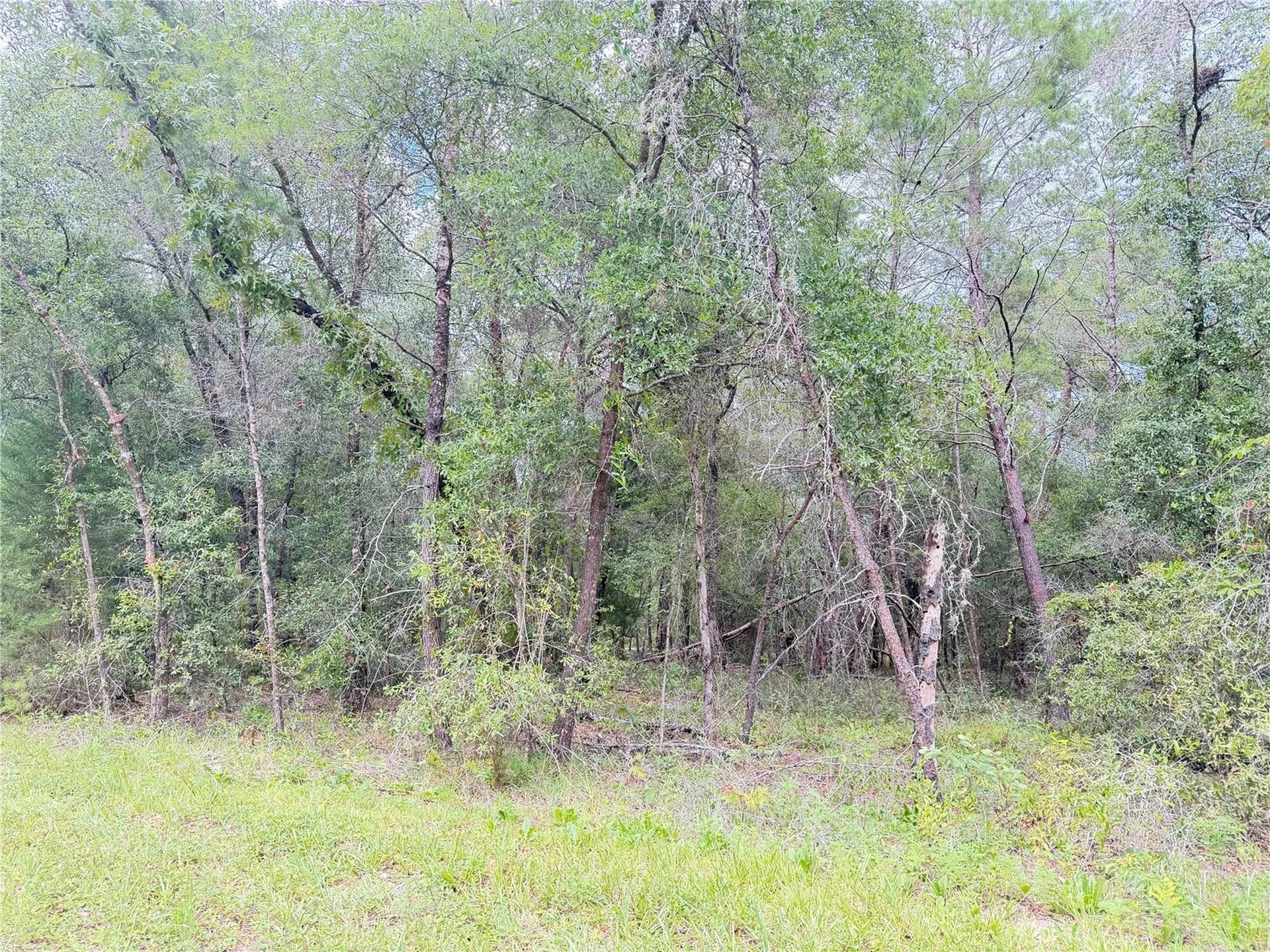 100 Linda Lane Interlachen FL 32148