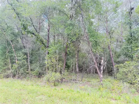 100 Linda Lane Interlachen FL 32148