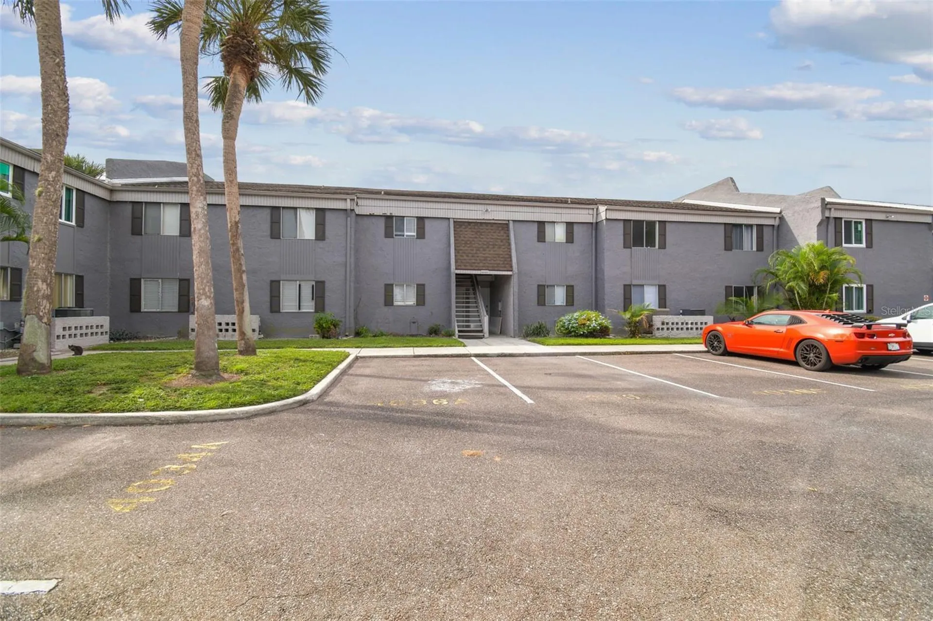 4036 Cortez Drive Tampa FL 33614