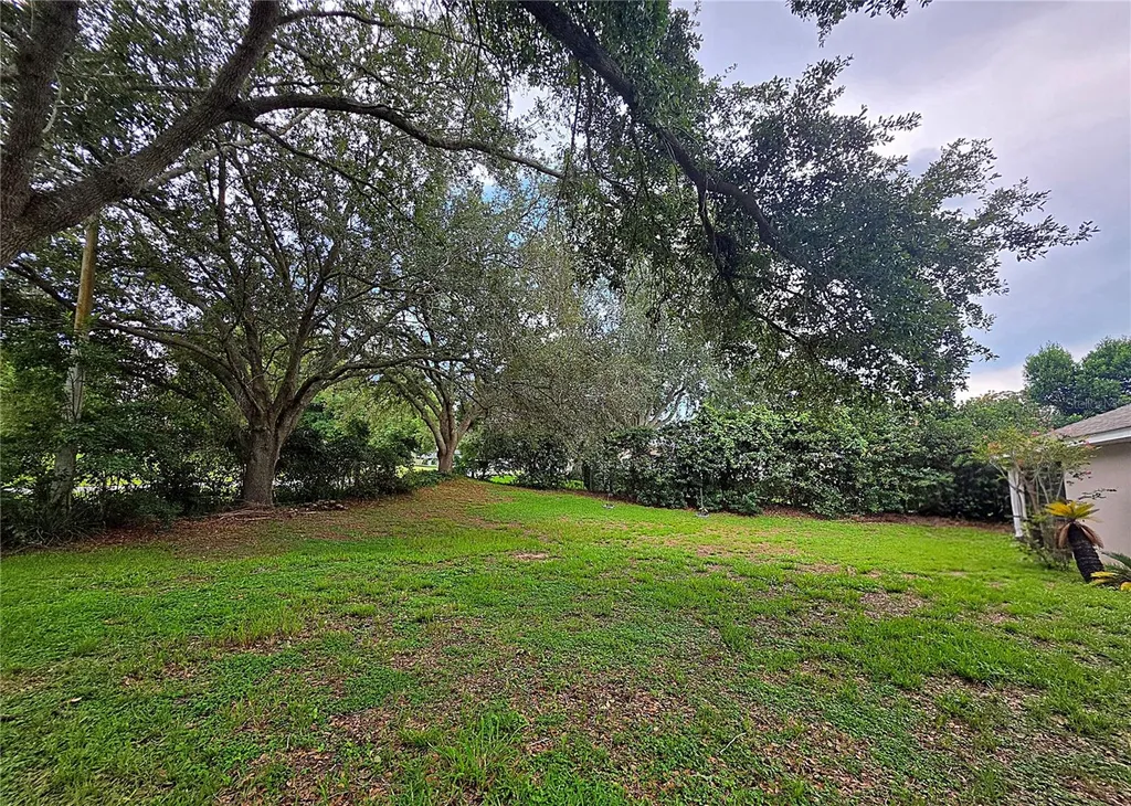 13518 Palo Court Clermont FL 34711