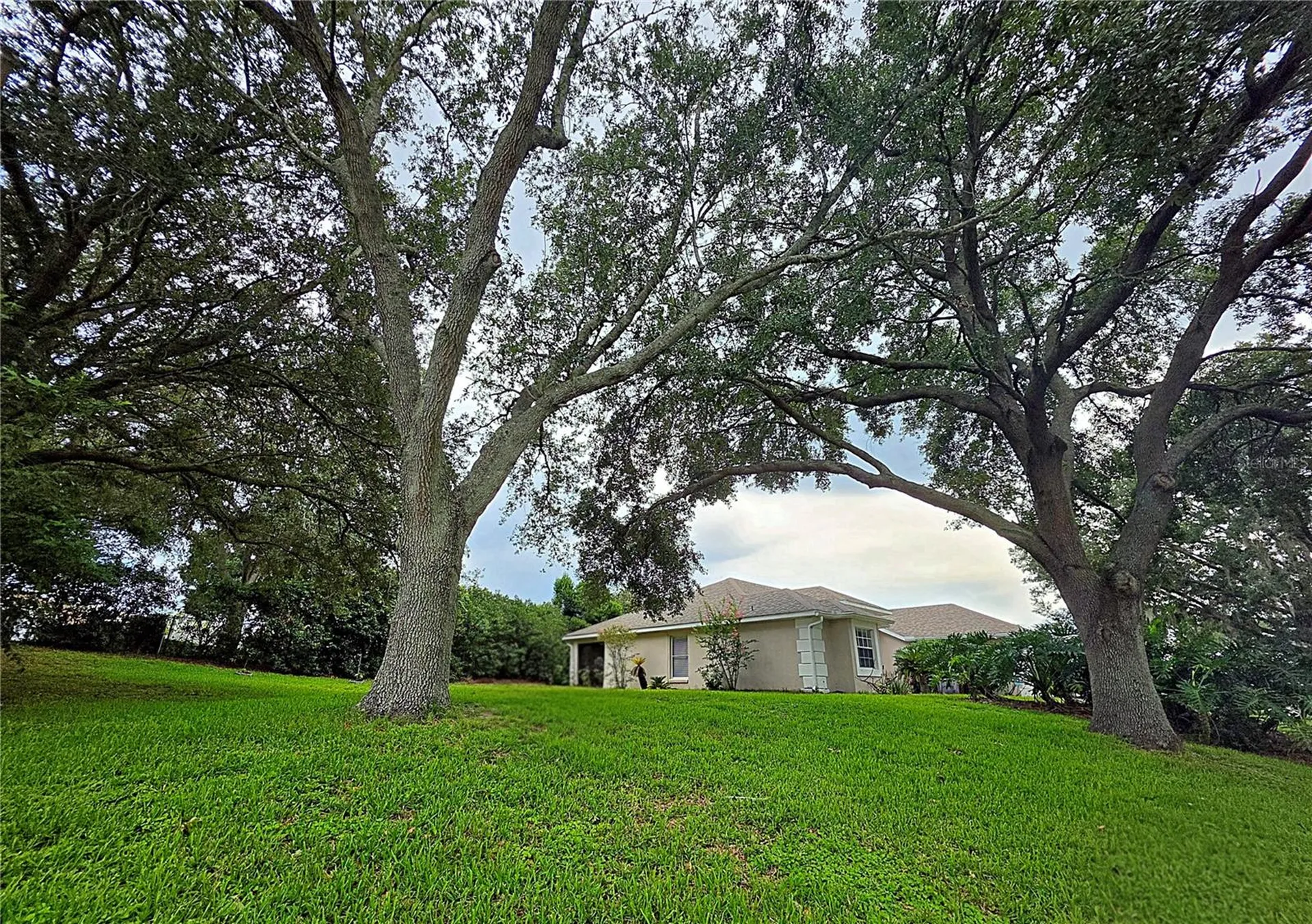 13518 Palo Court Clermont FL 34711