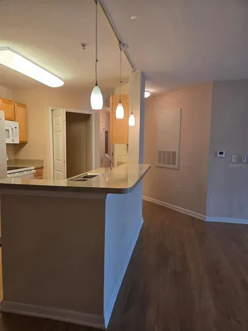 5824 Lake Pointe Village Circle Orlando FL 32822