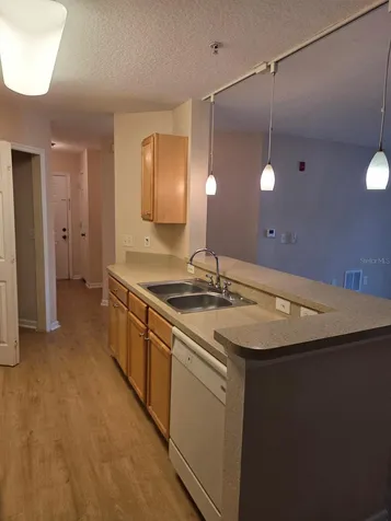 5824 Lake Pointe Village Circle Orlando FL 32822