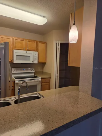 5824 Lake Pointe Village Circle Orlando FL 32822