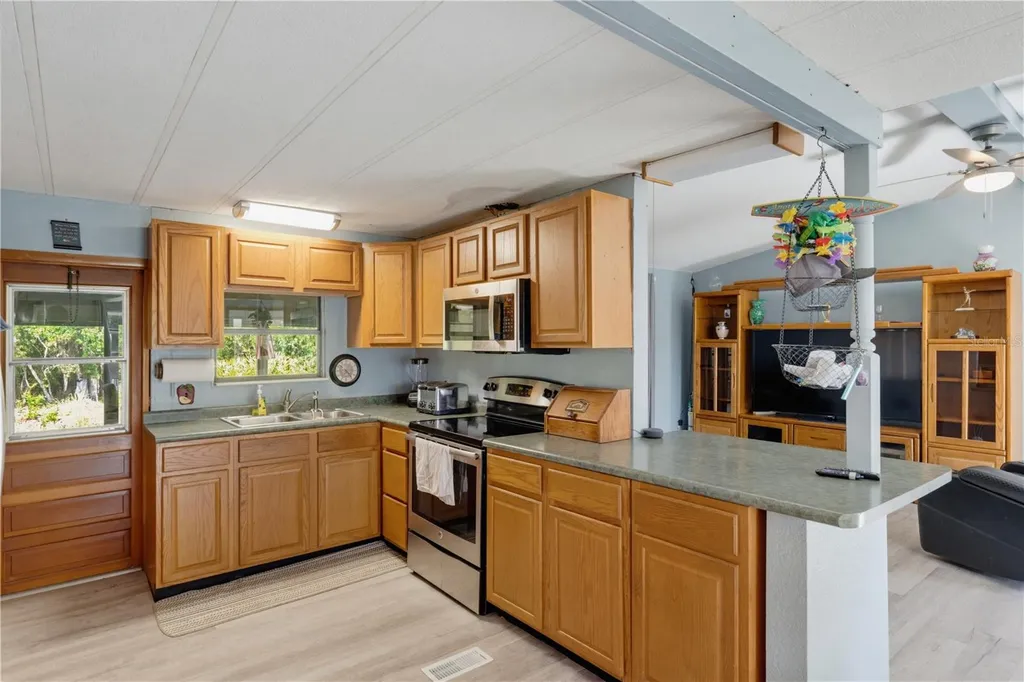7421 Henry Drive Land O Lakes FL 34638