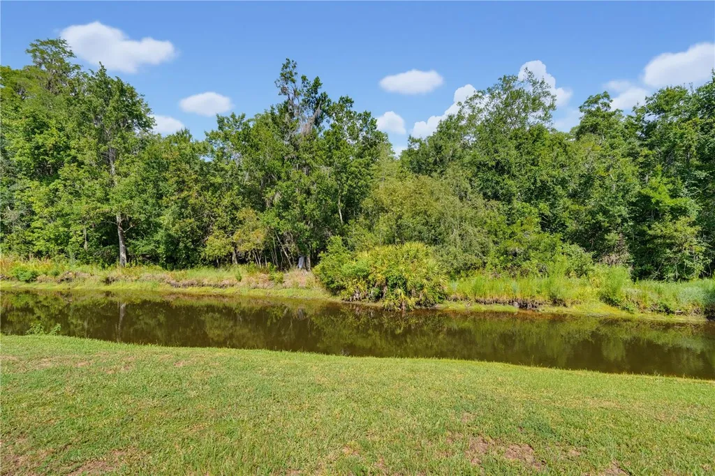 7421 Henry Drive Land O Lakes FL 34638