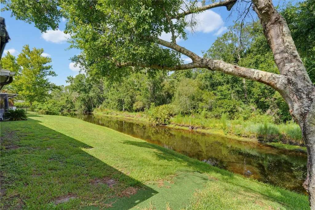 7421 Henry Drive Land O Lakes FL 34638