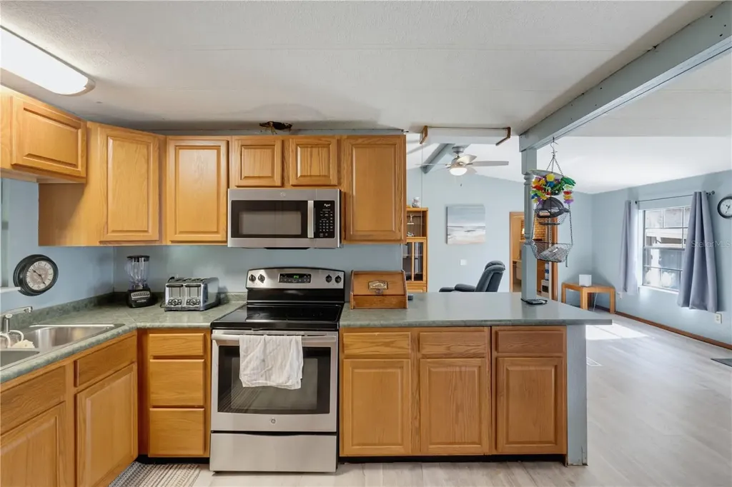 7421 Henry Drive Land O Lakes FL 34638