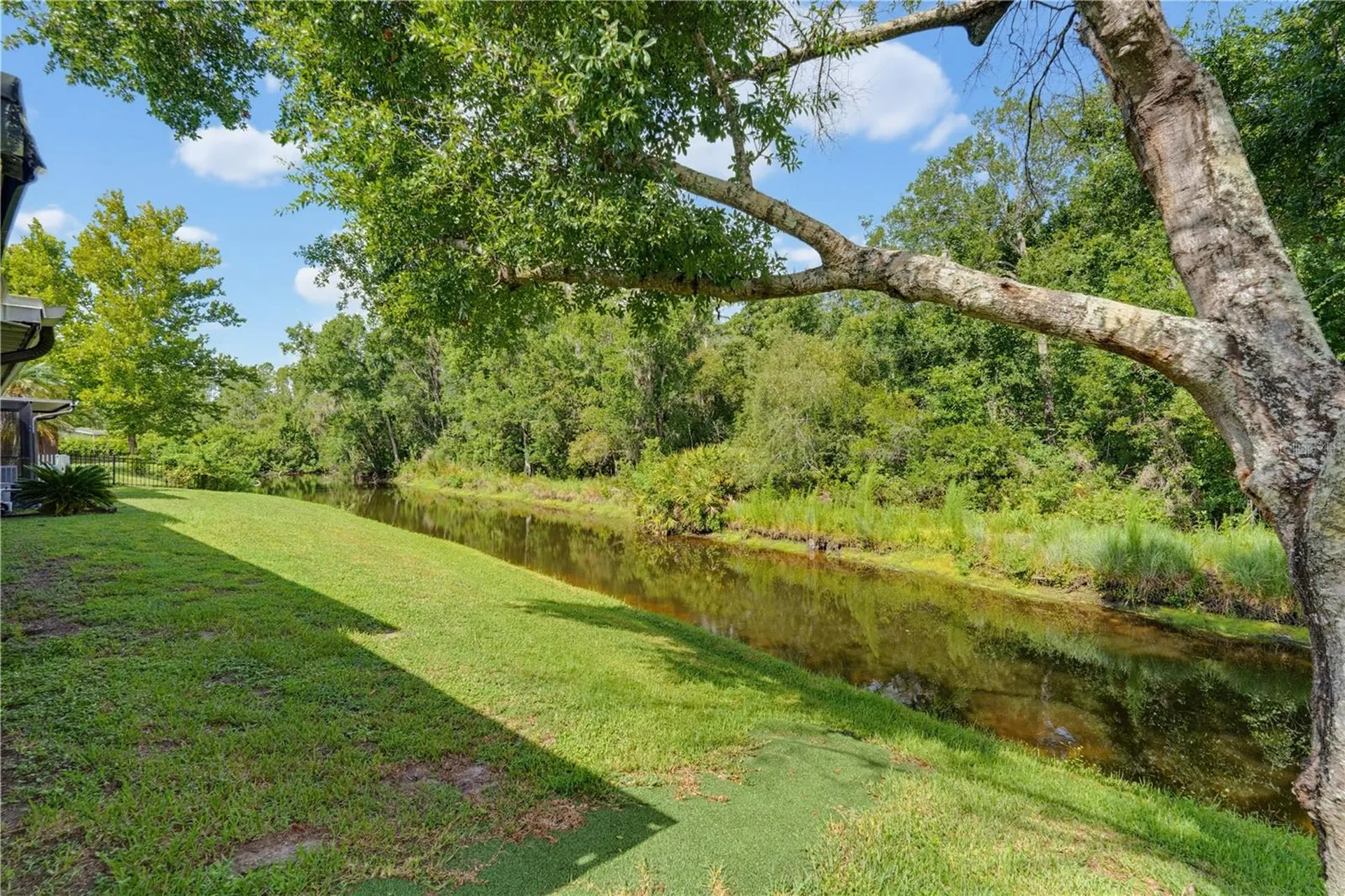 7421 Henry Drive Land O Lakes FL 34638