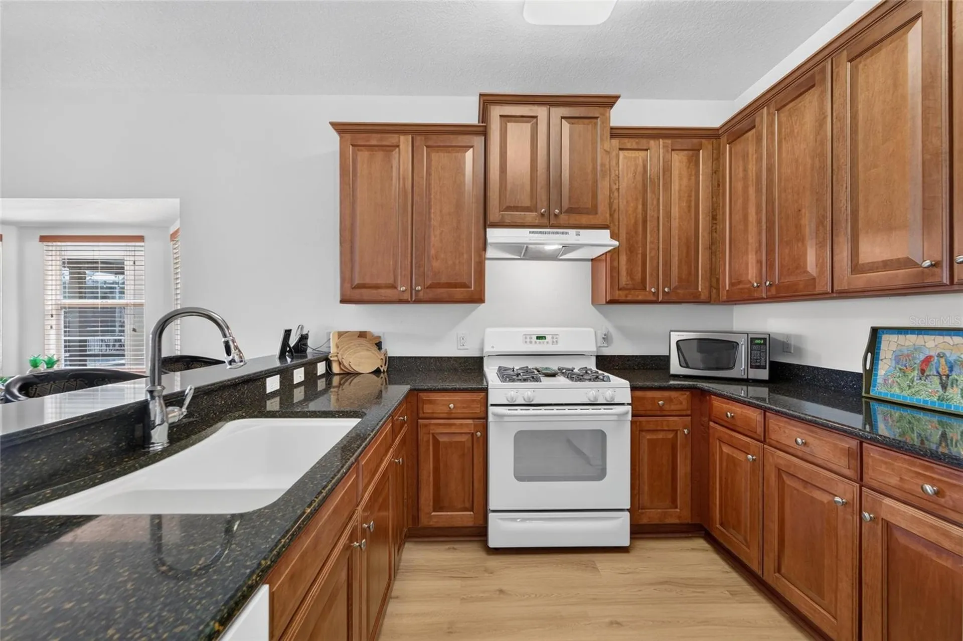 9473 Leatherwood Avenue Tampa FL 33647