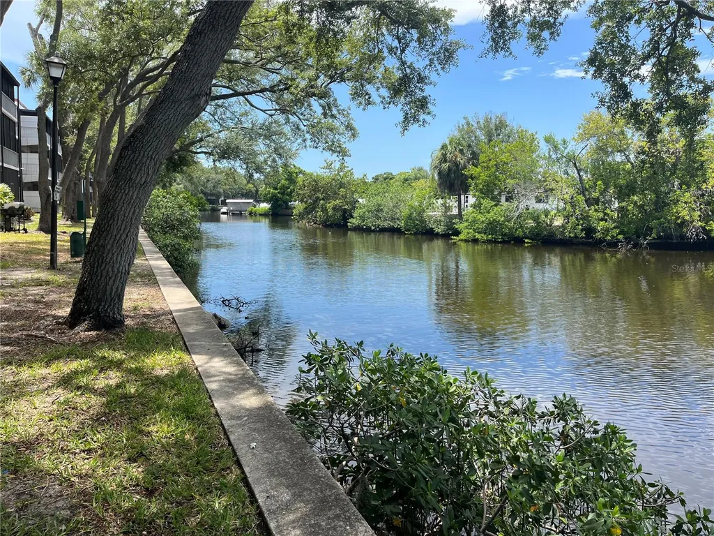 9105 Tudor Drive Tampa FL 33615