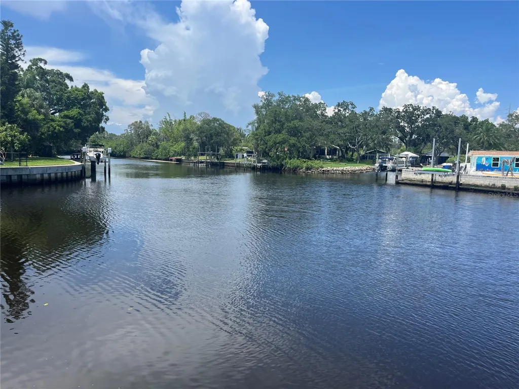 9105 Tudor Drive Tampa FL 33615