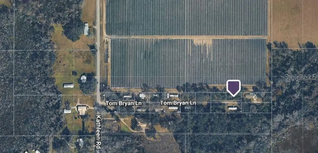3617 Tom Bryan Lane Lakeland FL 33810
