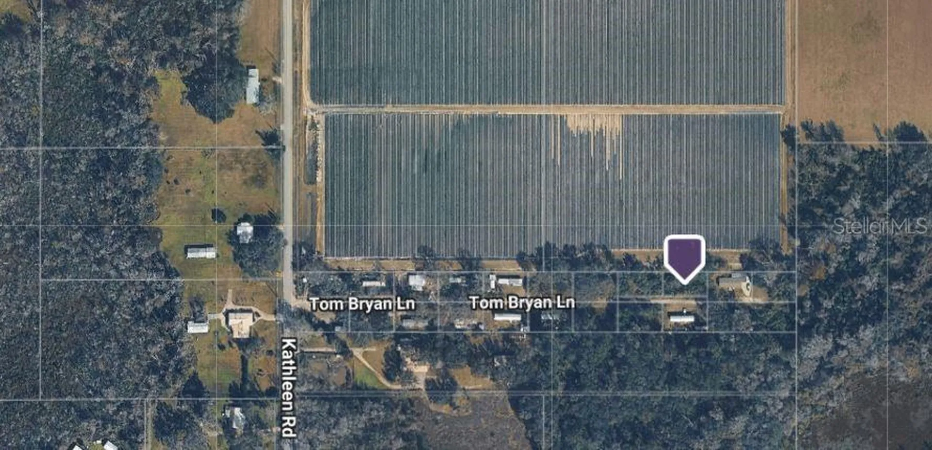 3617 Tom Bryan Lane Lakeland FL 33810