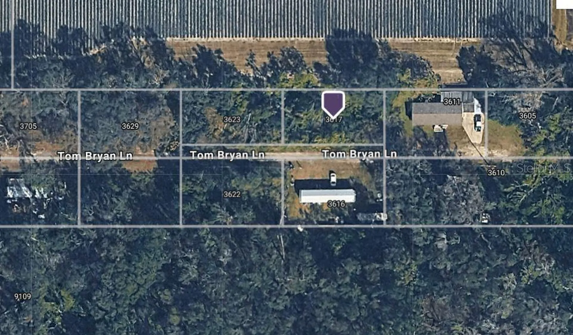 3617 Tom Bryan Lane Lakeland FL 33810