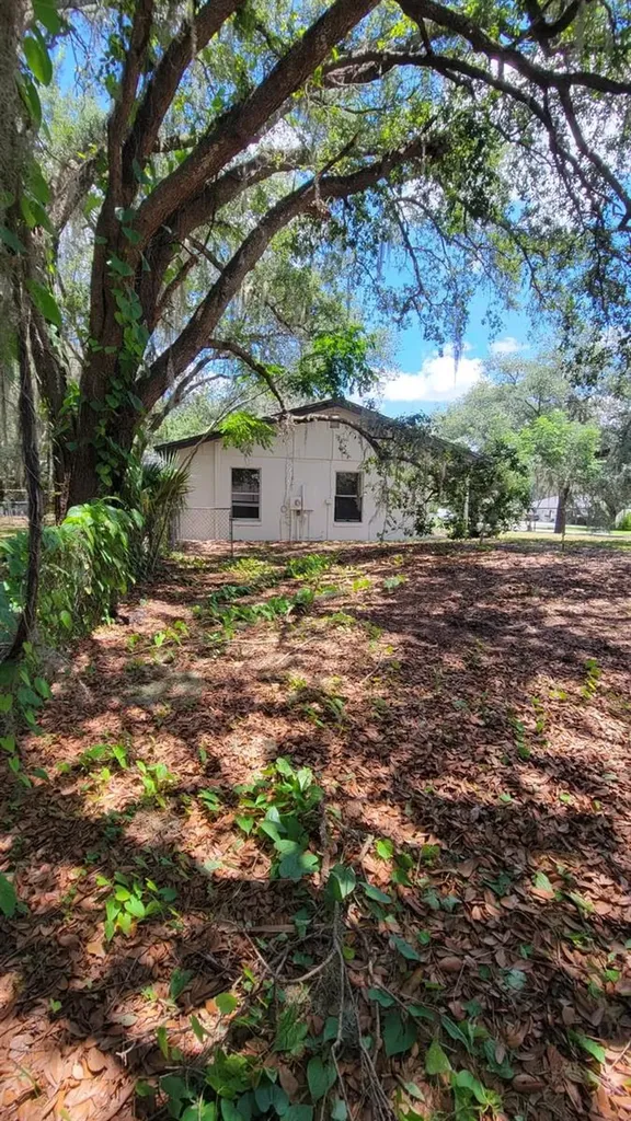 3036 Lowery Drive Oviedo FL 32765