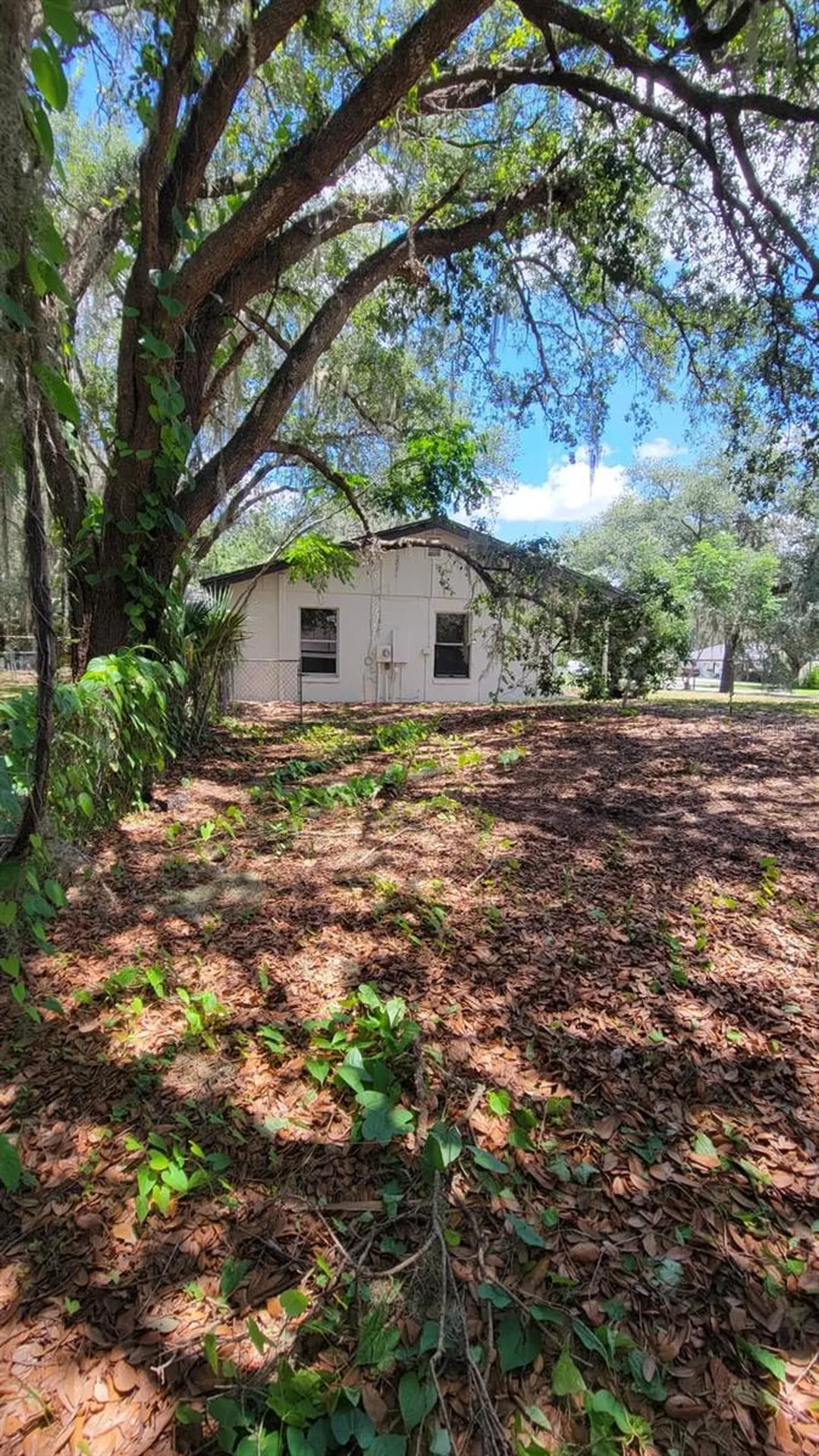 3036 Lowery Drive Oviedo FL 32765