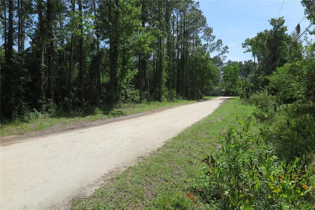 108 Pineshore Drive Satsuma FL 32189