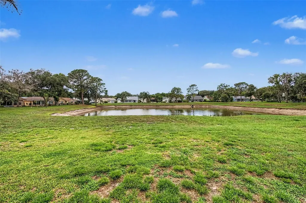 4709 Portland Manor Drive New Port Richey FL 34655
