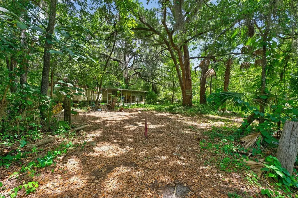 5725 NW 219th Street Road Micanopy FL 32667