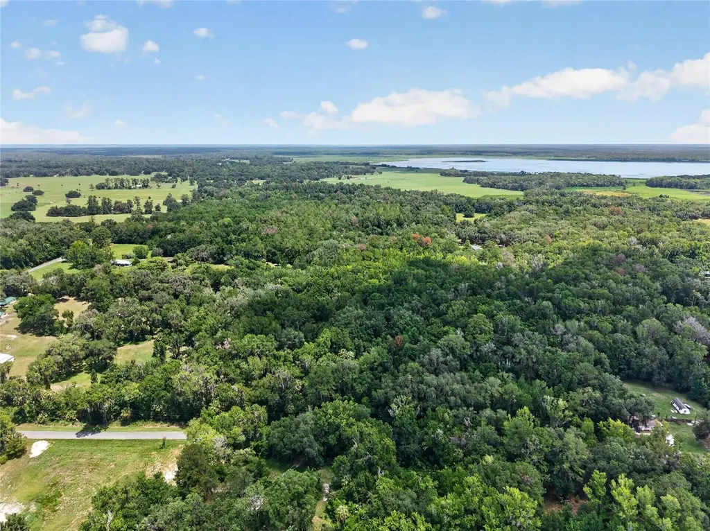 5725 NW 219th Street Road Micanopy FL 32667