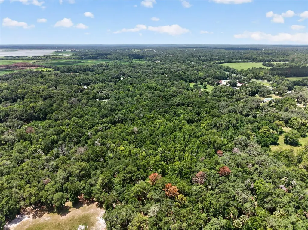 5725 NW 219th Street Road Micanopy FL 32667