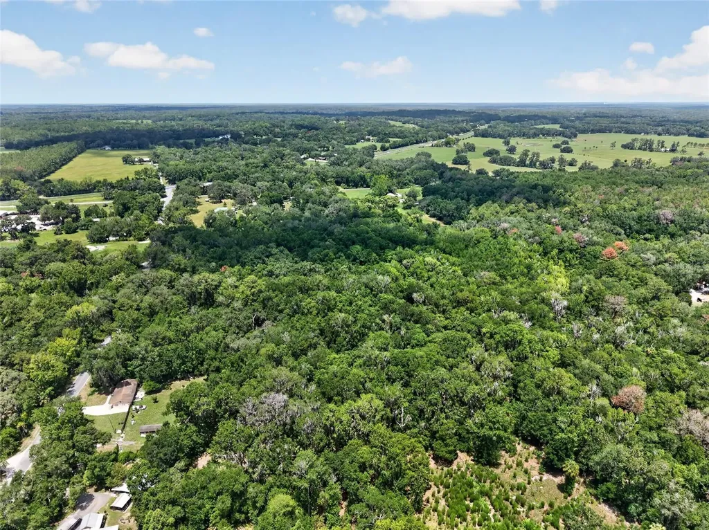 5725 NW 219th Street Road Micanopy FL 32667