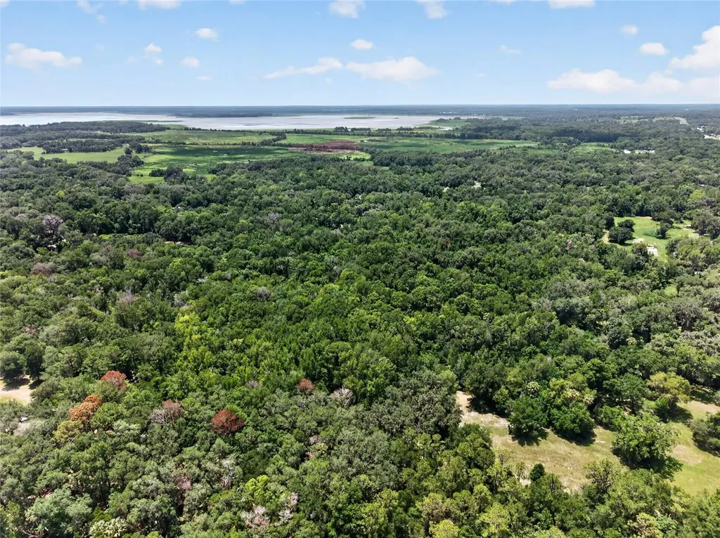 5725 NW 219th Street Road Micanopy FL 32667