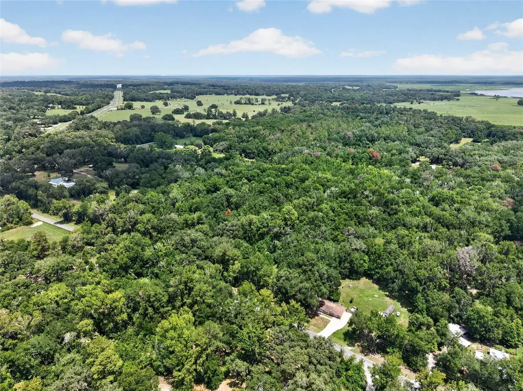 5725 NW 219th Street Road Micanopy FL 32667